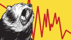 Navigating Bear Markets
